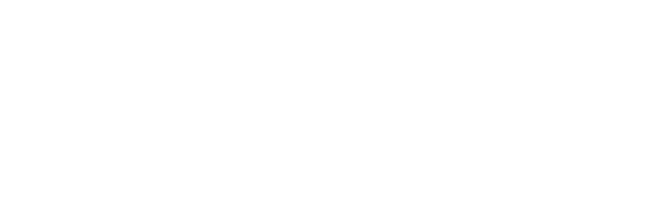 Kaus Capital Partners